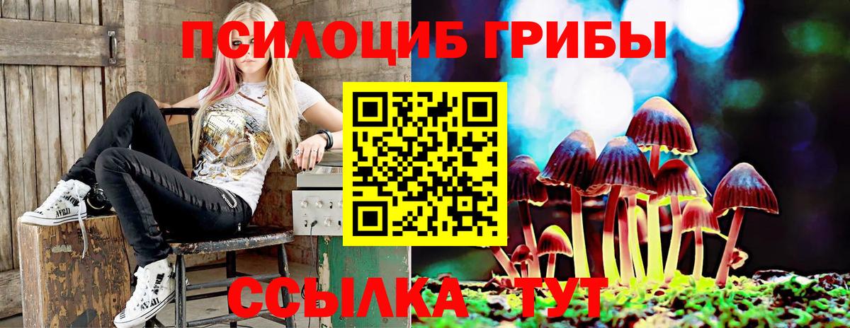 Псилоцибиновые грибы Cubensis Саратов