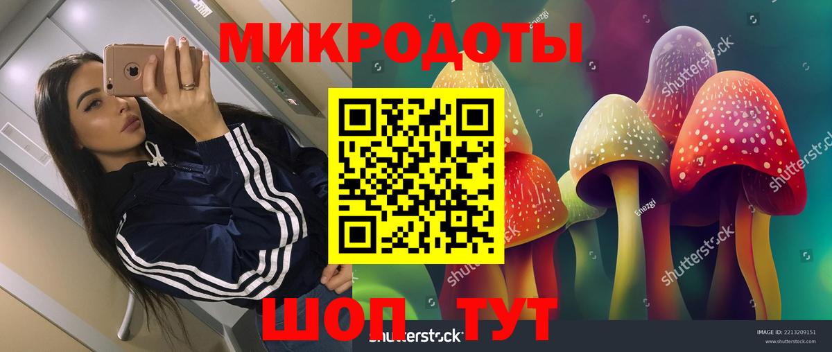Псилоцибиновые грибы Magic Shrooms  Вход с VPN  Псилоцибиновые грибы Magic Shrooms  Саратов 
